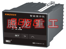 溫度表、數(shù)字顯示儀、濕度表