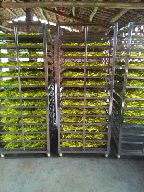 黃花菜烘干機(jī)、黃花菜烘干設(shè)備、黃花菜干燥機(jī)、黃花菜干燥設(shè)備、